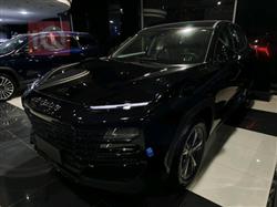 جيتور داشينج